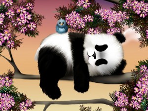 Asien_Panda